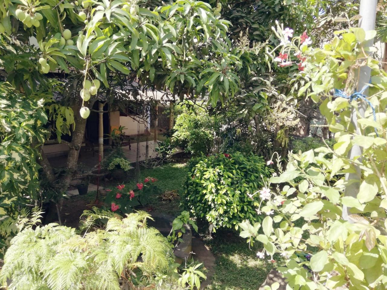 Nisadi Villa Bentota Buitenkant foto