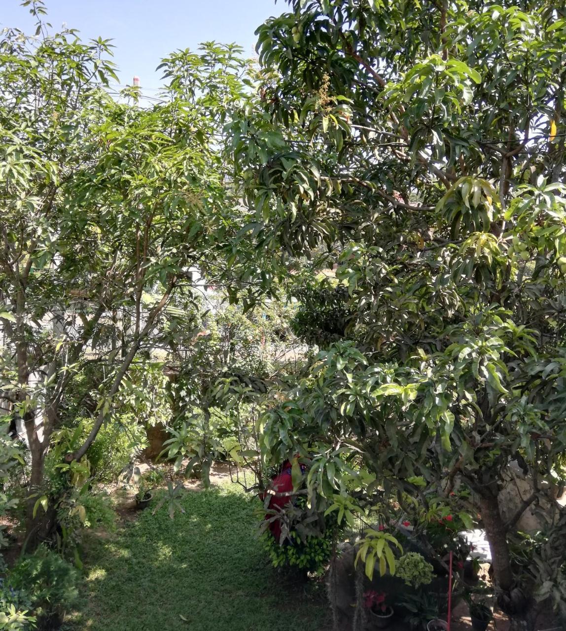 Nisadi Villa Bentota Buitenkant foto